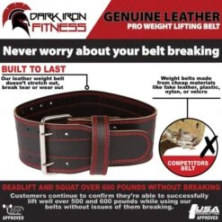 Dark Iron Fitness Power Belt -Fitness Equipment 0efe32849d230d7f53049ddc4a4b0c60 5d0a74e9e264f 600x600 1