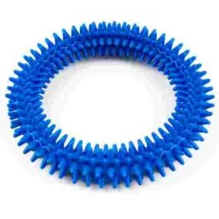 Sport-Thieme Hedgehog Ring -Fitness Equipment 127 3205