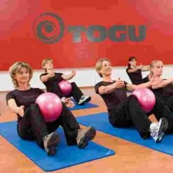 Togu Redondo Ball 24 Togu Redondo Ball -Fitness Equipment 176 0040 4