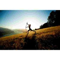 Stick Mobility Exercise Stick -Fitness Equipment 316 7801 5