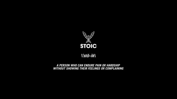 Stoic Wrist Wraps 4 Stoic Wrist Wraps - Image 2