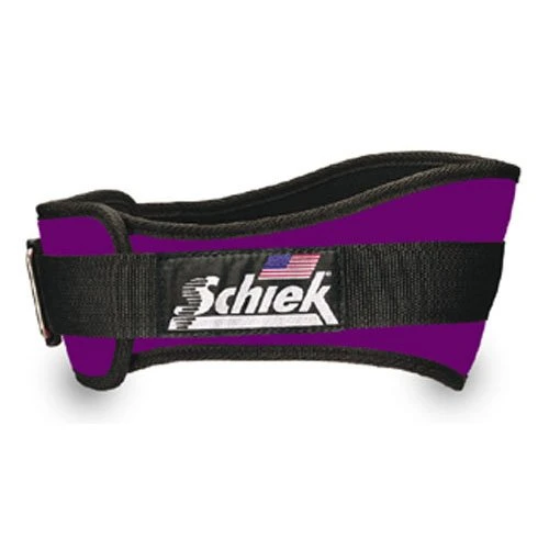 Schiek 2004 Lifting Belt 4 Schiek 2004 Lifting Belt - Image 2