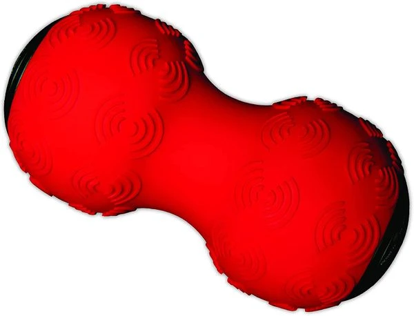 Power Plate DualSphere 4 Power Plate DualSphere - Image 2